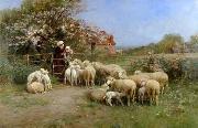 unknow artist Sheep 111 USA oil painting artist